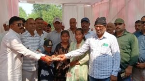 whatsapp image 2025 11 18 at 18.14.06